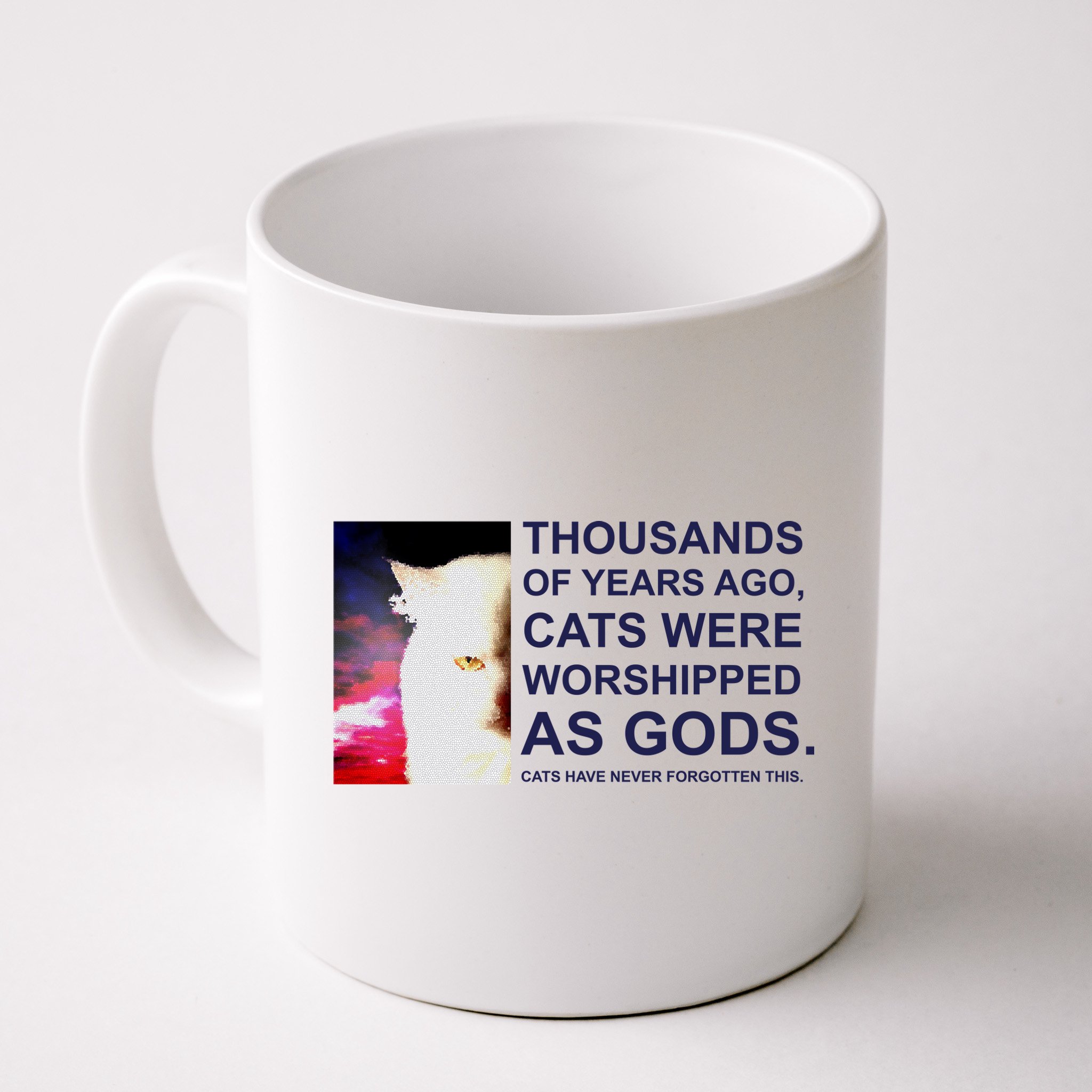 Funny Cat Mug