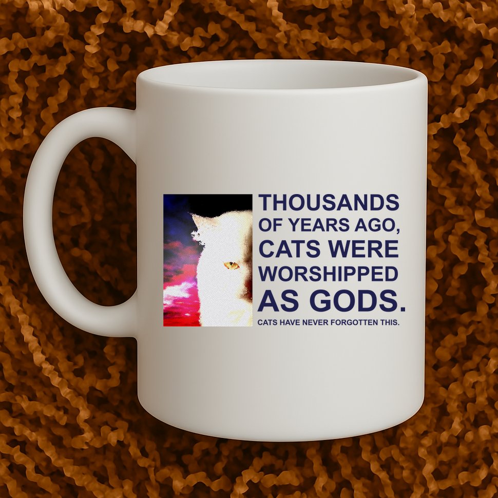 Funny Cat Mug