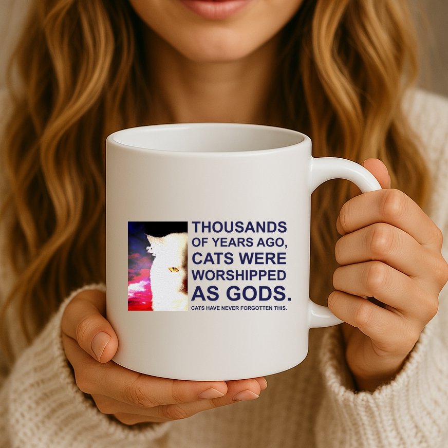 Funny Cat Mug