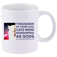 Funny Cat 11oz C Handle Ceramic Mug