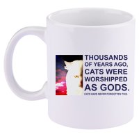 Funny Cat 11oz C Handle Ceramic Mug