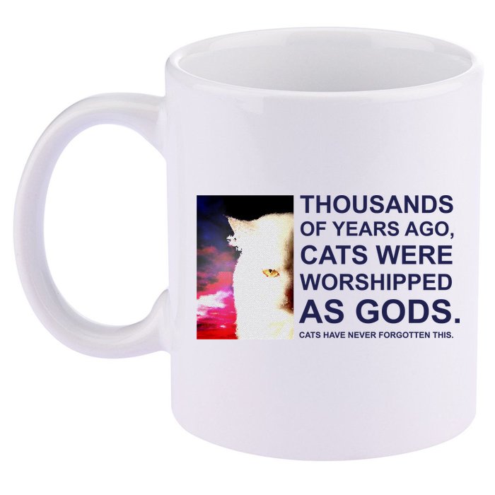 Funny Cat 11oz C Handle Ceramic Mug