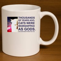 Funny Cat 11oz C Handle Ceramic Mug