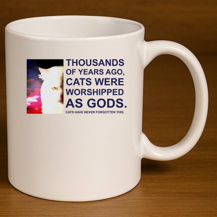 Funny Cat 11oz C Handle Ceramic Mug