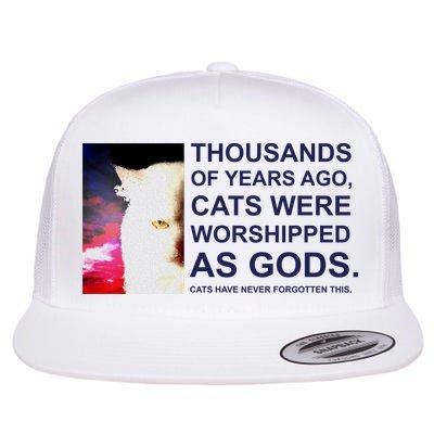 Funny Cat Flat Bill Trucker Hat