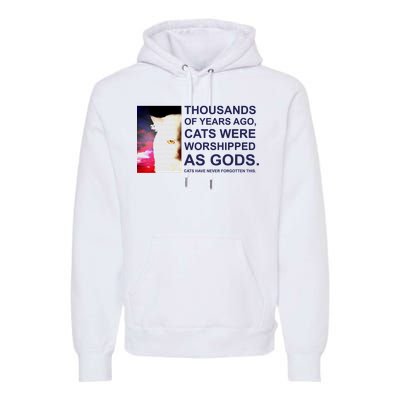 Funny Cat Premium Hoodie