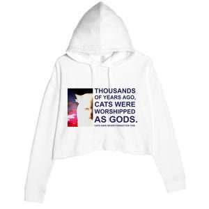 Funny Cat Crop Fleece Hoodie