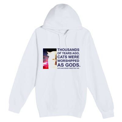 Funny Cat Premium Pullover Hoodie