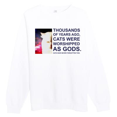 Funny Cat Premium Crewneck Sweatshirt