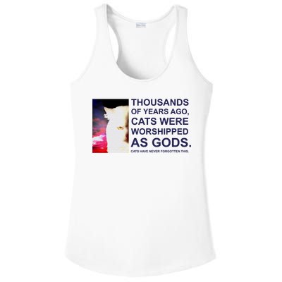 Funny Cat Ladies PosiCharge Competitor Racerback Tank