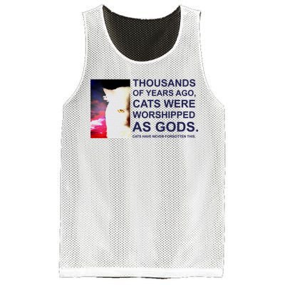 Funny Cat Mesh Reversible Basketball Jersey Tank