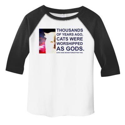 Funny Cat Toddler Fine Jersey T-Shirt