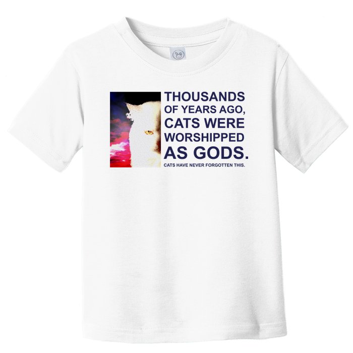 Funny Cat Toddler T-Shirt