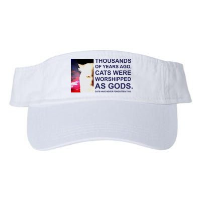 Funny Cat Valucap Bio-Washed Visor