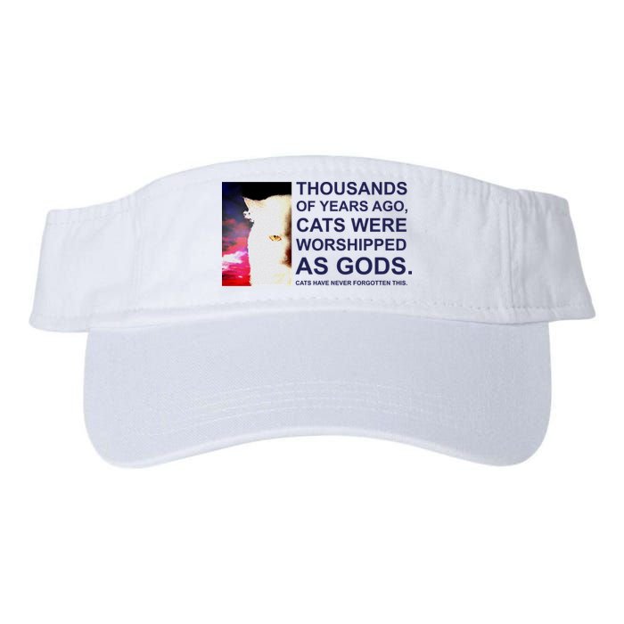 Funny Cat Valucap Bio-Washed Visor