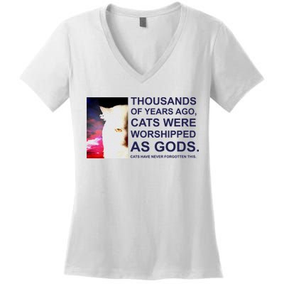 Funny Cat Women's V-Neck T-Shirt