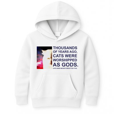 Funny Cat Kids Hoodie