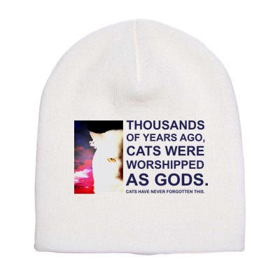 Funny Cat Short Acrylic Beanie