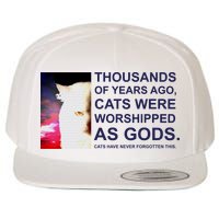 Funny Cat Wool Snapback Cap