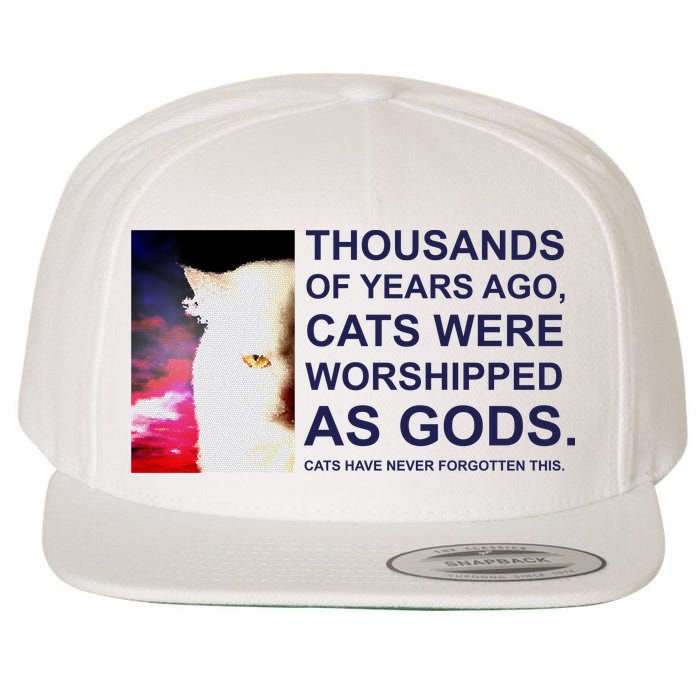 Funny Cat Wool Snapback Cap