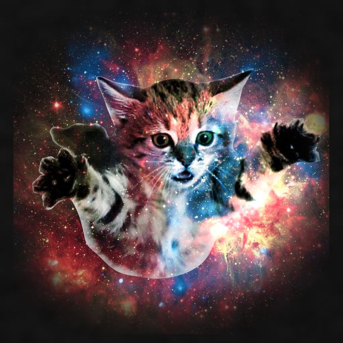 Funny Cat Floating In Space Ladies PosiCharge Tri-Blend Wicking Tank