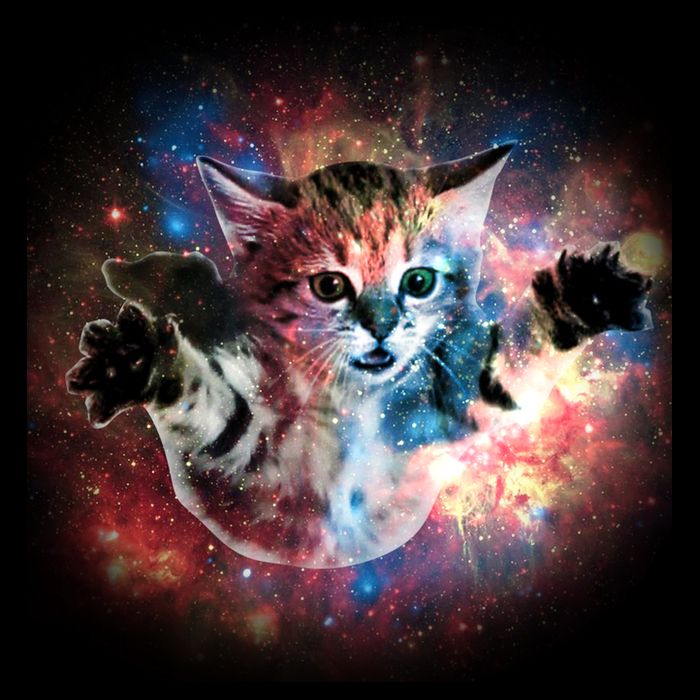 Funny Cat Floating In Space 7-Panel Snapback Hat