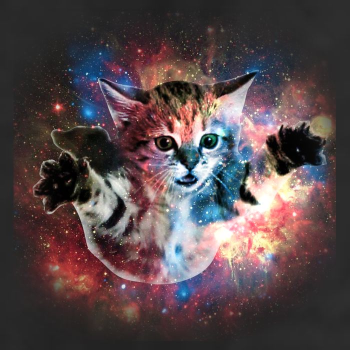 Funny Cat Floating In Space Beanie