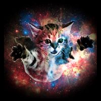 Funny Cat Floating In Space 16 in Basic Backpack