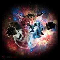 Funny Cat Floating In Space Visor