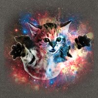 Funny Cat Floating In Space Cotton Canvas Backpack