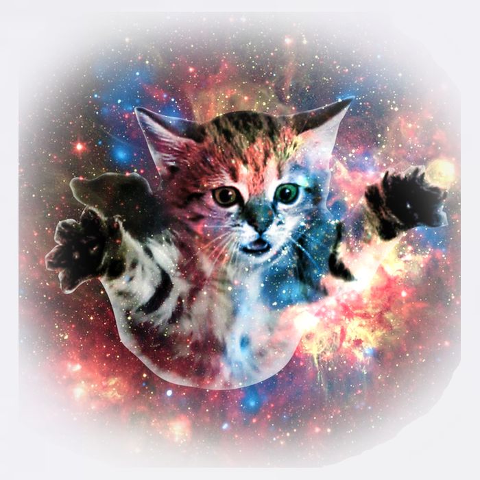 Funny Cat Floating In Space Garment-Dyed Sweatshirt