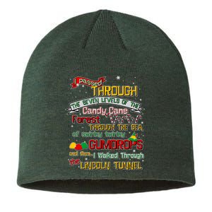 Funny Christmas Elf Map Sustainable Beanie