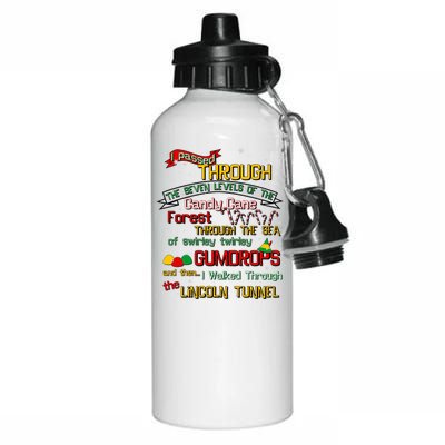 Funny Christmas Elf Map Aluminum Water Bottle