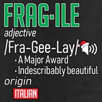 Funny Christmas Fragile Definition  Garment-Dyed Fleece Hoodie