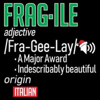 Funny Christmas Fragile Definition  USA-Made Doggie Bandana