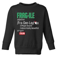 Funny Christmas Fragile Definition  Toddler Sweatshirt