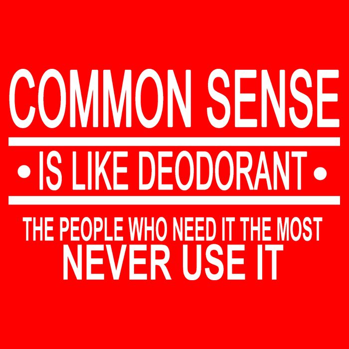 Funny Common Sense Sarcastic Meme USA-Made Doggie Bandana