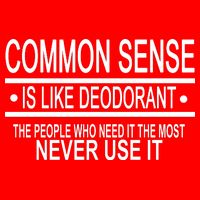 Funny Common Sense Sarcastic Meme Sweatshirt