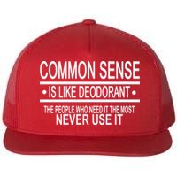 Funny Common Sense Sarcastic Meme Flat Bill Trucker Hat