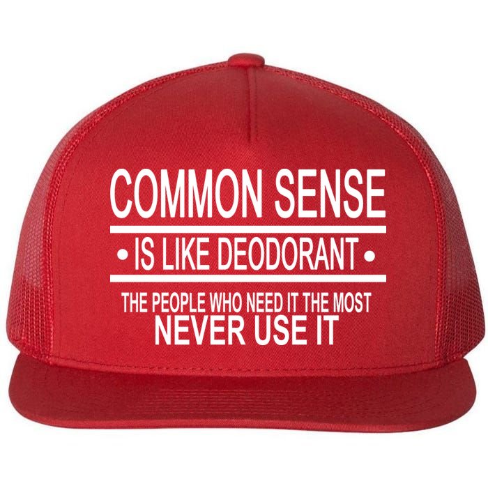Funny Common Sense Sarcastic Meme Flat Bill Trucker Hat