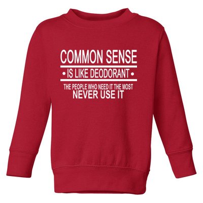 Funny Common Sense Sarcastic Meme Toddler Sweatshirt