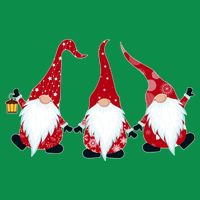 Funny Cute Christmas Gnomes Womens T-Shirt