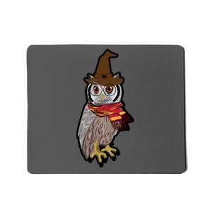 Funny Cute Owl Halloween Mousepad