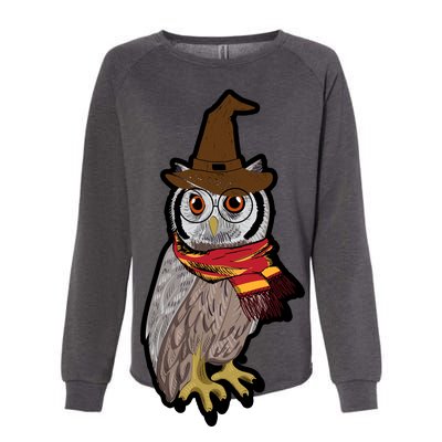 Funny Cute Owl Halloween Womens California Wash Sweatshirt