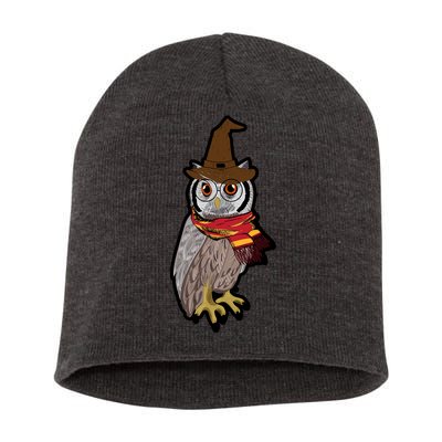 Funny Cute Owl Halloween Short Acrylic Beanie