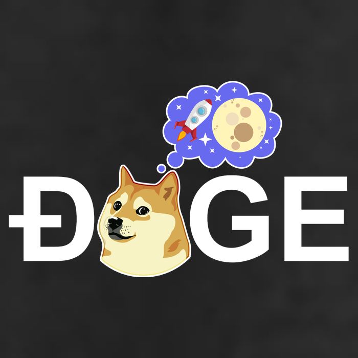 Funny Doge Meme Dogecoin Currency Adult Drive Performance Visor