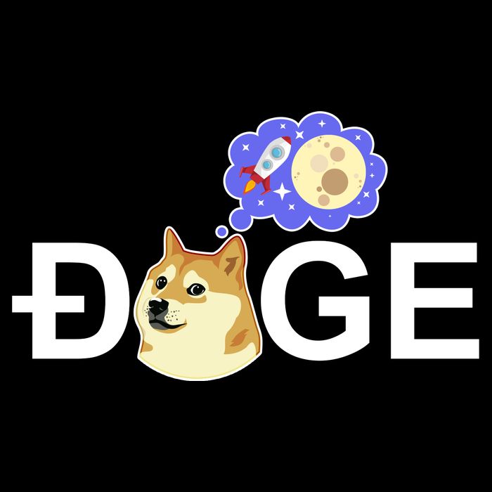 Funny Doge Meme Dogecoin Currency 16 in Basic Backpack