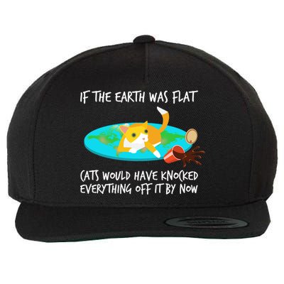 Funny Earth Cat Wool Snapback Cap