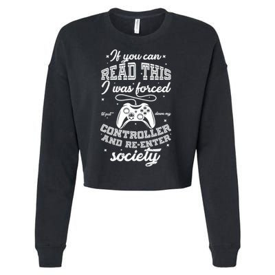 Funny Gamer Re-Enter Society  Cropped Pullover Crew