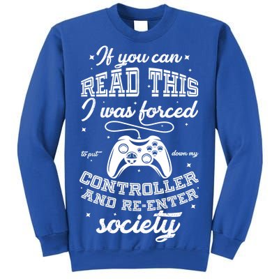 Funny Gamer Re-Enter Society  Sweatshirt